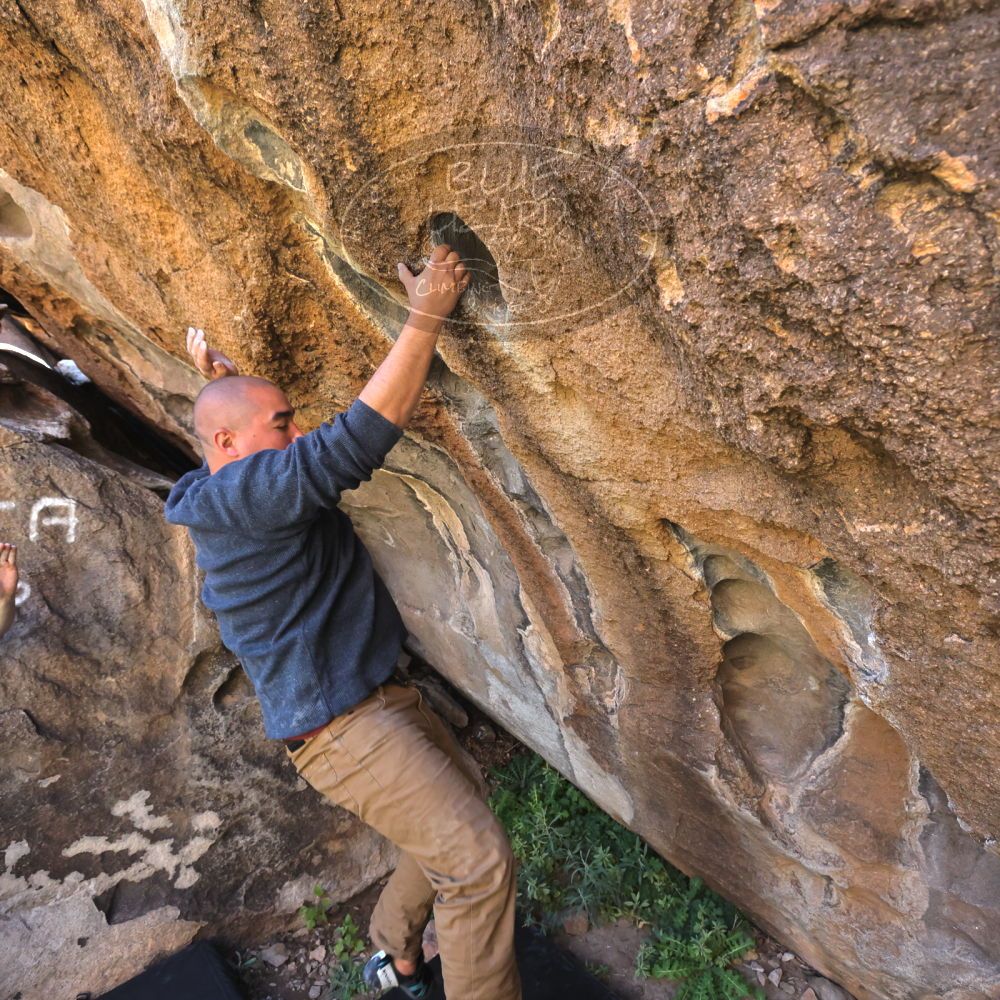 

Filename: SRM_20221025_1143460.jpg
Aperture: f/5.6
Shutter Speed: 1/500
Body: Canon EOS R6
Lens: Canon EF 16-35mm f/2.8 L