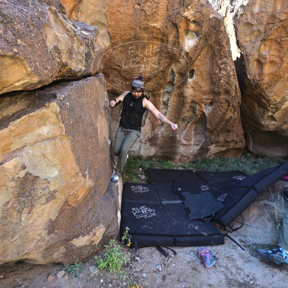 

Filename: SRM_20221025_1146302.jpg
Aperture: f/5.6
Shutter Speed: 1/500
Body: Canon EOS R6
Lens: Canon EF 16-35mm f/2.8 L