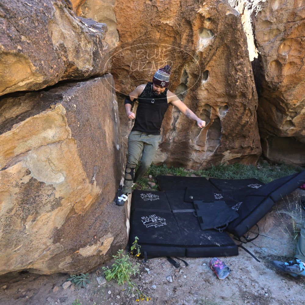 

Filename: SRM_20221025_1146311.jpg
Aperture: f/5.6
Shutter Speed: 1/500
Body: Canon EOS R6
Lens: Canon EF 16-35mm f/2.8 L