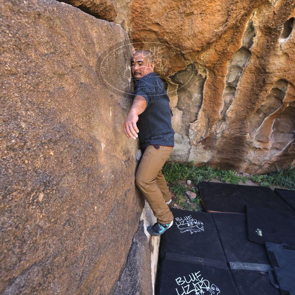 

Filename: SRM_20221025_1147430.jpg
Aperture: f/5.6
Shutter Speed: 1/500
Body: Canon EOS R6
Lens: Canon EF 16-35mm f/2.8 L