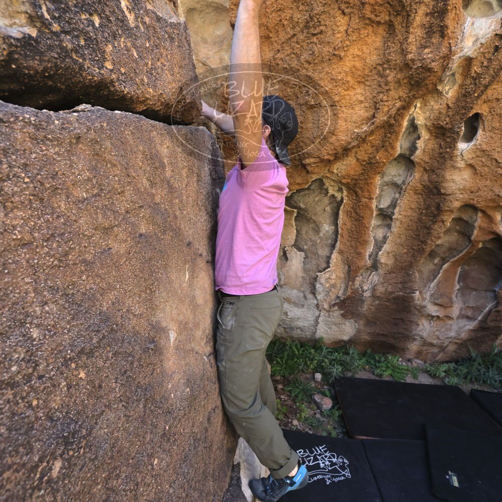 

Filename: SRM_20221025_1149120.jpg
Aperture: f/5.6
Shutter Speed: 1/500
Body: Canon EOS R6
Lens: Canon EF 16-35mm f/2.8 L