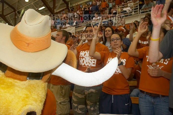 The Longhorns defeated the Huskers 3-0 on Wednesday night, October 24, 2007 at Gregory Gym.

Filename: SRM_20071024_1850246.jpg
Aperture: f/5.6
Shutter Speed: 1/100
Body: Canon EOS 20D
Lens: Canon EF-S 18-55mm f/3.5-5.6