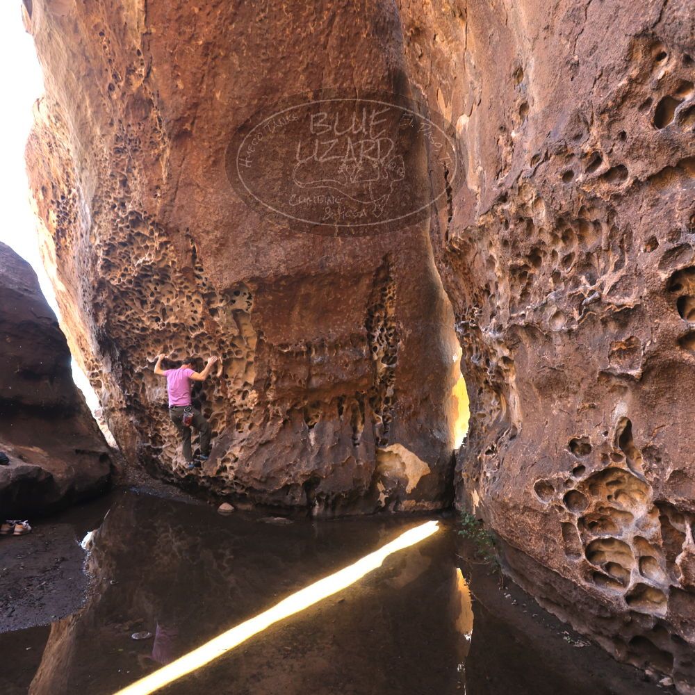 

Filename: SRM_20221025_1251240.jpg
Aperture: f/4.0
Shutter Speed: 1/160
Body: Canon EOS R6
Lens: Canon EF 16-35mm f/2.8 L