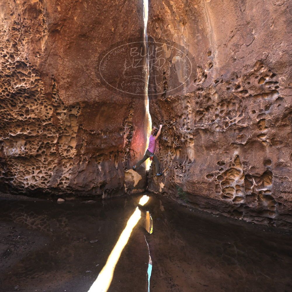 

Filename: SRM_20221025_1252050.jpg
Aperture: f/4.0
Shutter Speed: 1/160
Body: Canon EOS R6
Lens: Canon EF 16-35mm f/2.8 L