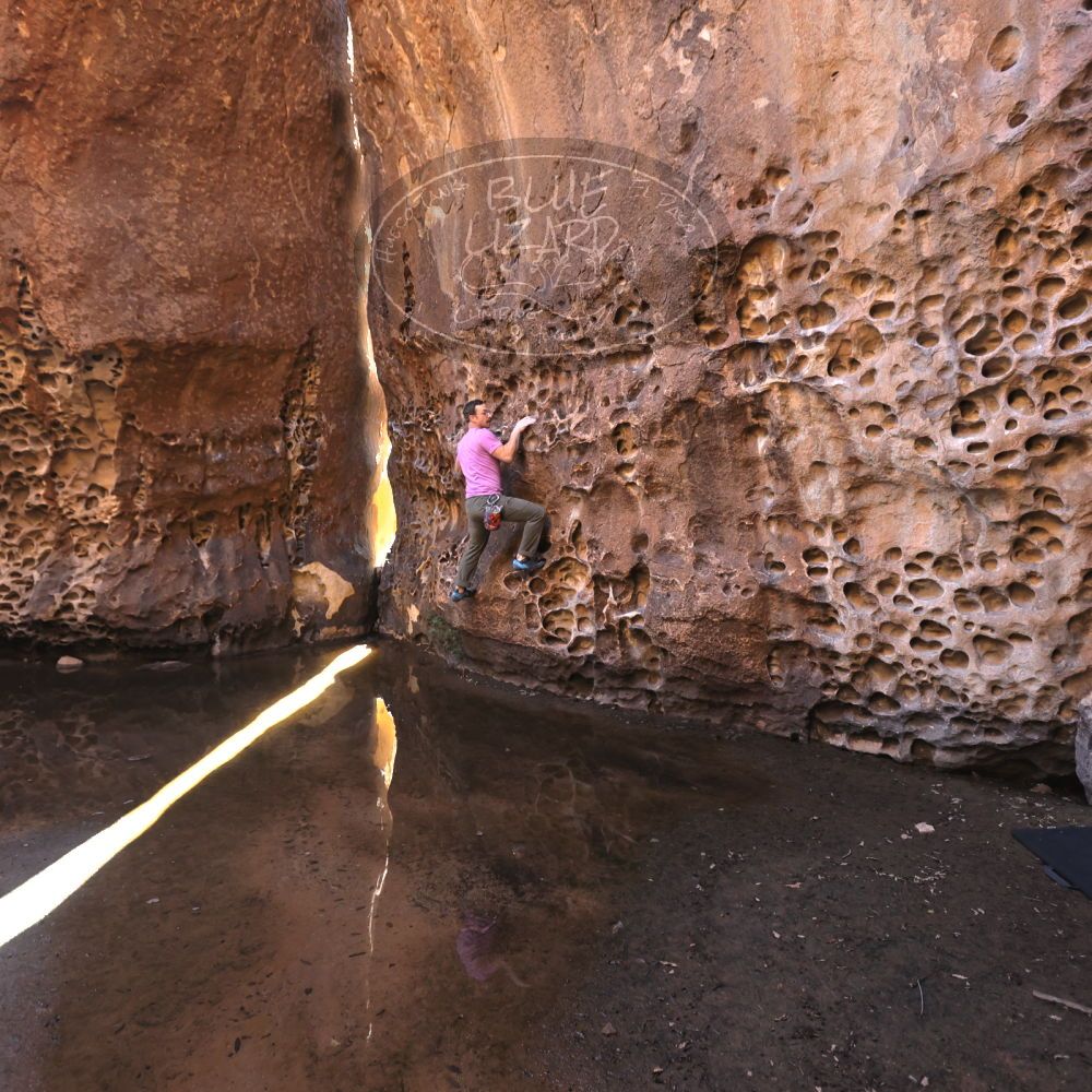 

Filename: SRM_20221025_1252300.jpg
Aperture: f/4.0
Shutter Speed: 1/160
Body: Canon EOS R6
Lens: Canon EF 16-35mm f/2.8 L