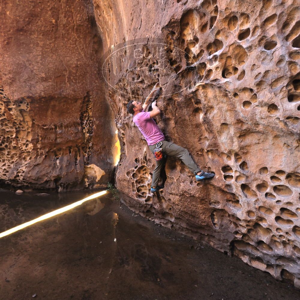 

Filename: SRM_20221025_1252430.jpg
Aperture: f/4.0
Shutter Speed: 1/160
Body: Canon EOS R6
Lens: Canon EF 16-35mm f/2.8 L