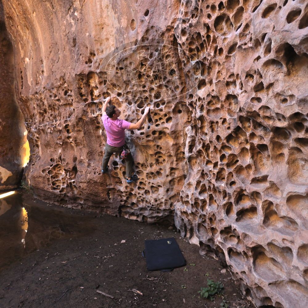 

Filename: SRM_20221025_1252560.jpg
Aperture: f/4.0
Shutter Speed: 1/160
Body: Canon EOS R6
Lens: Canon EF 16-35mm f/2.8 L