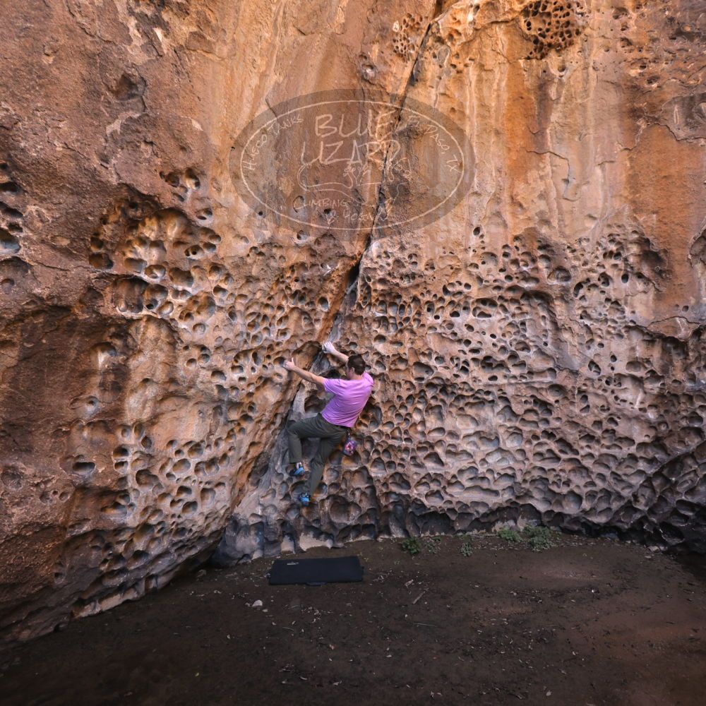 

Filename: SRM_20221025_1253160.jpg
Aperture: f/4.0
Shutter Speed: 1/160
Body: Canon EOS R6
Lens: Canon EF 16-35mm f/2.8 L