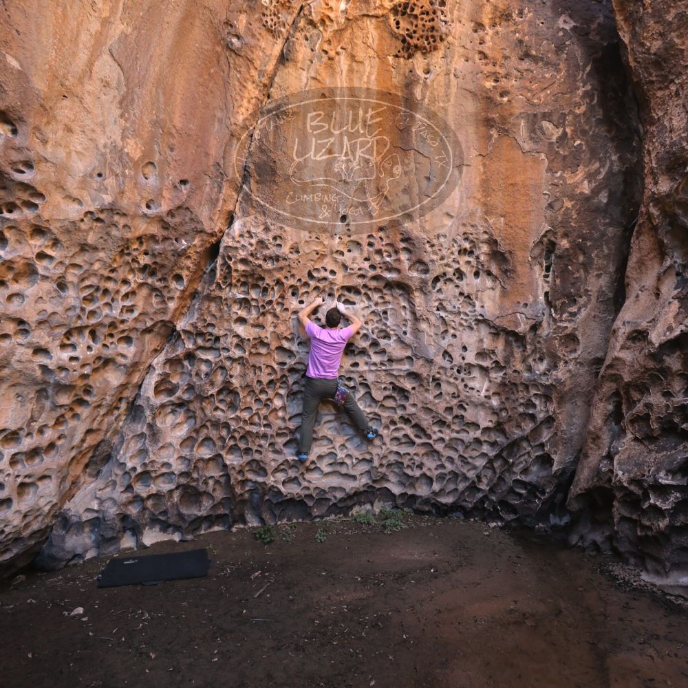 

Filename: SRM_20221025_1253390.jpg
Aperture: f/4.0
Shutter Speed: 1/160
Body: Canon EOS R6
Lens: Canon EF 16-35mm f/2.8 L