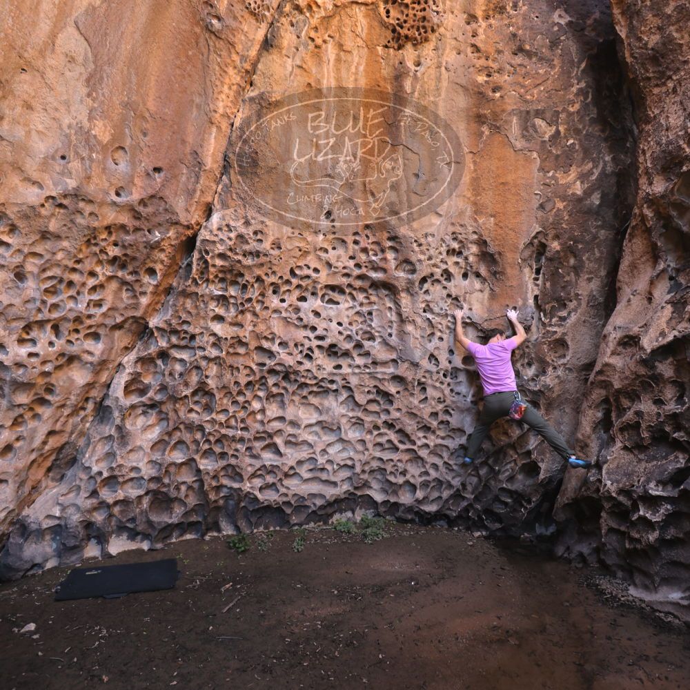 

Filename: SRM_20221025_1254210.jpg
Aperture: f/4.0
Shutter Speed: 1/160
Body: Canon EOS R6
Lens: Canon EF 16-35mm f/2.8 L