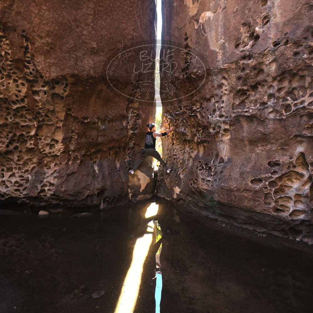 

Filename: SRM_20221025_1259340.jpg
Aperture: f/4.0
Shutter Speed: 1/1000
Body: Canon EOS R6
Lens: Canon EF 16-35mm f/2.8 L