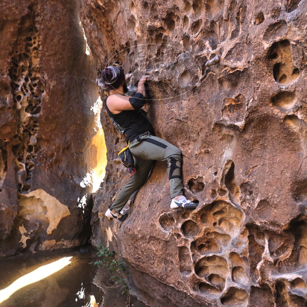 

Filename: SRM_20221025_1300490.jpg
Aperture: f/4.0
Shutter Speed: 1/200
Body: Canon EOS R6
Lens: Canon EF 16-35mm f/2.8 L