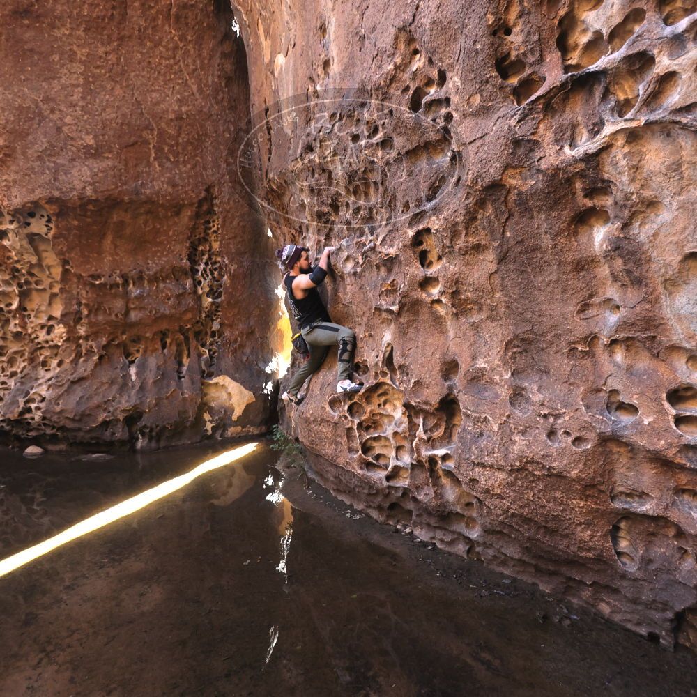 

Filename: SRM_20221025_1300570.jpg
Aperture: f/4.0
Shutter Speed: 1/200
Body: Canon EOS R6
Lens: Canon EF 16-35mm f/2.8 L