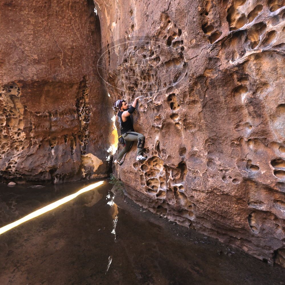 

Filename: SRM_20221025_1300580.jpg
Aperture: f/4.0
Shutter Speed: 1/200
Body: Canon EOS R6
Lens: Canon EF 16-35mm f/2.8 L