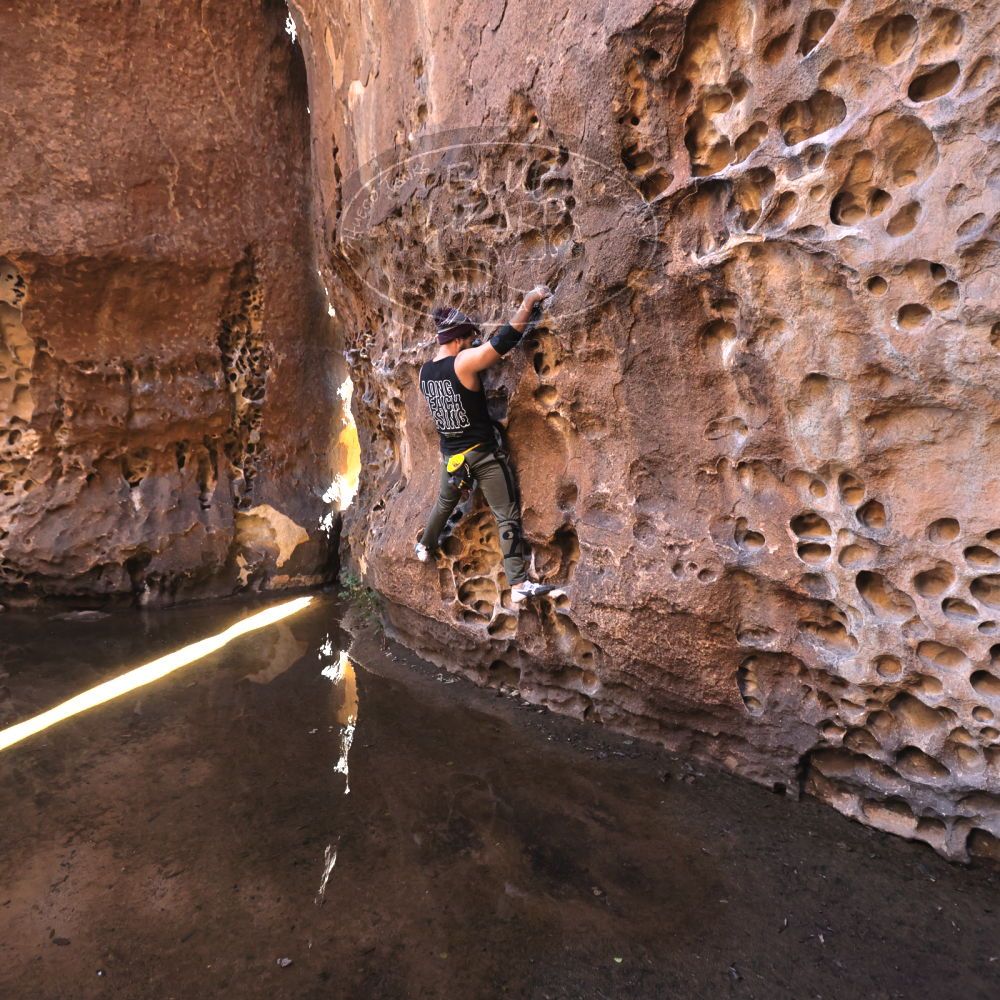 

Filename: SRM_20221025_1301140.jpg
Aperture: f/4.0
Shutter Speed: 1/200
Body: Canon EOS R6
Lens: Canon EF 16-35mm f/2.8 L