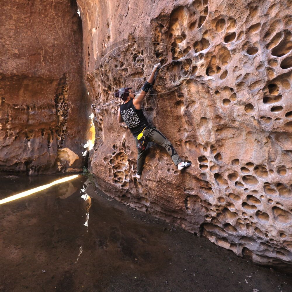 

Filename: SRM_20221025_1301410.jpg
Aperture: f/4.0
Shutter Speed: 1/200
Body: Canon EOS R6
Lens: Canon EF 16-35mm f/2.8 L