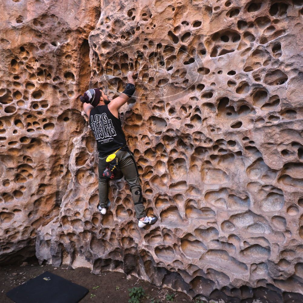 

Filename: SRM_20221025_1302410.jpg
Aperture: f/4.0
Shutter Speed: 1/200
Body: Canon EOS R6
Lens: Canon EF 16-35mm f/2.8 L