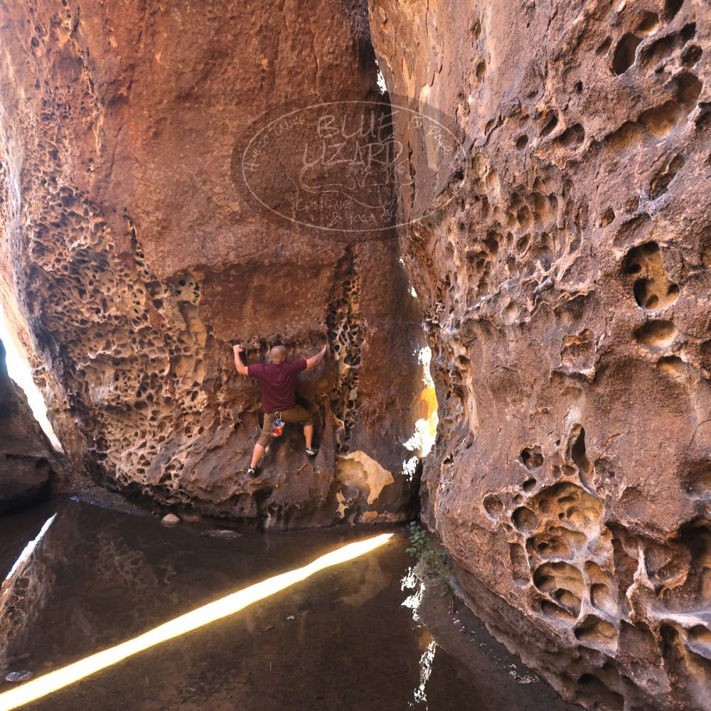 

Filename: SRM_20221025_1305320.jpg
Aperture: f/4.0
Shutter Speed: 1/200
Body: Canon EOS R6
Lens: Canon EF 16-35mm f/2.8 L