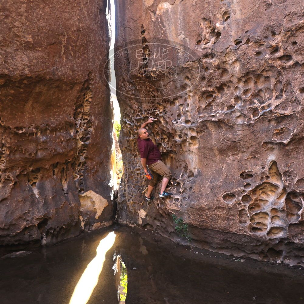 

Filename: SRM_20221025_1306170.jpg
Aperture: f/4.0
Shutter Speed: 1/200
Body: Canon EOS R6
Lens: Canon EF 16-35mm f/2.8 L