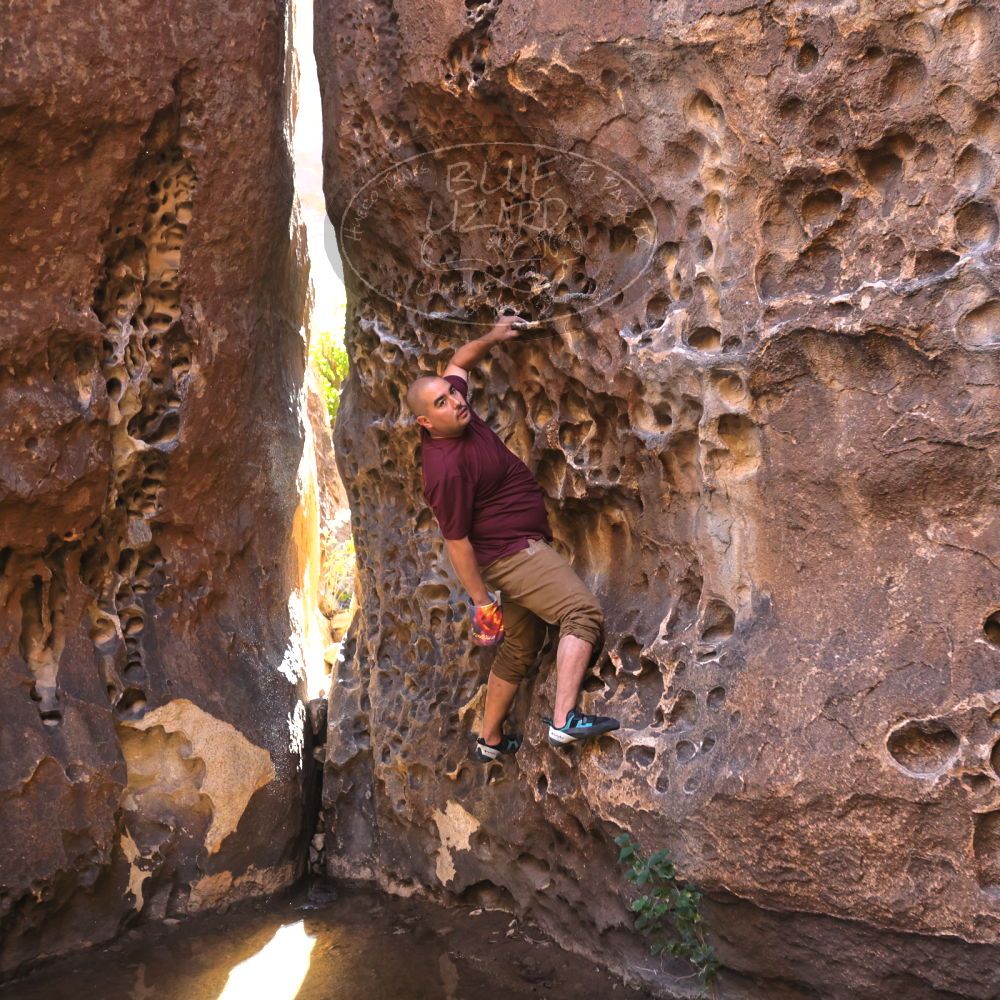 

Filename: SRM_20221025_1306190.jpg
Aperture: f/4.0
Shutter Speed: 1/200
Body: Canon EOS R6
Lens: Canon EF 16-35mm f/2.8 L