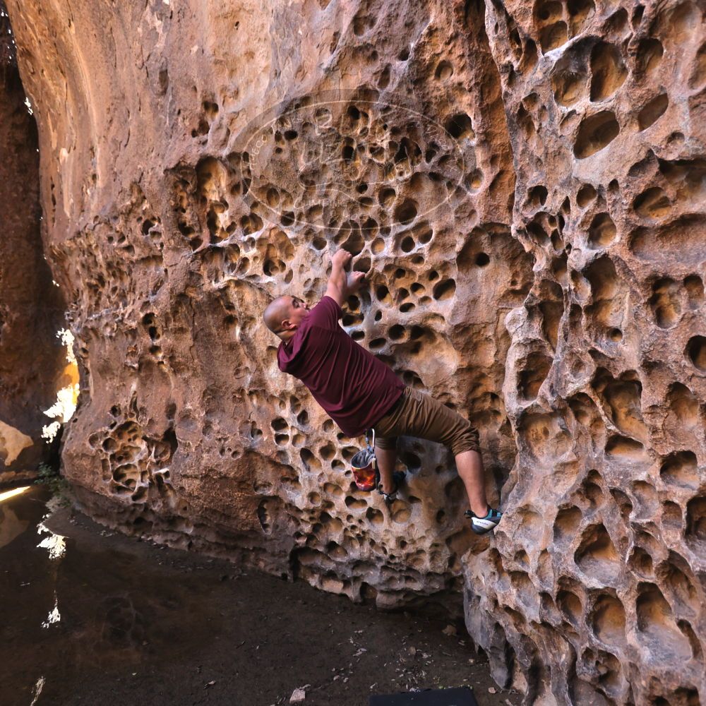 

Filename: SRM_20221025_1307250.jpg
Aperture: f/4.0
Shutter Speed: 1/200
Body: Canon EOS R6
Lens: Canon EF 16-35mm f/2.8 L