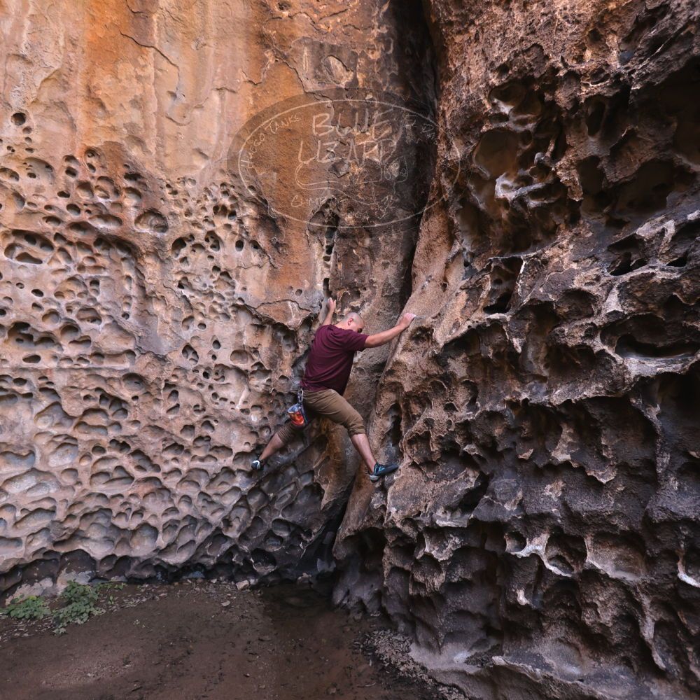 

Filename: SRM_20221025_1308590.jpg
Aperture: f/4.0
Shutter Speed: 1/200
Body: Canon EOS R6
Lens: Canon EF 16-35mm f/2.8 L