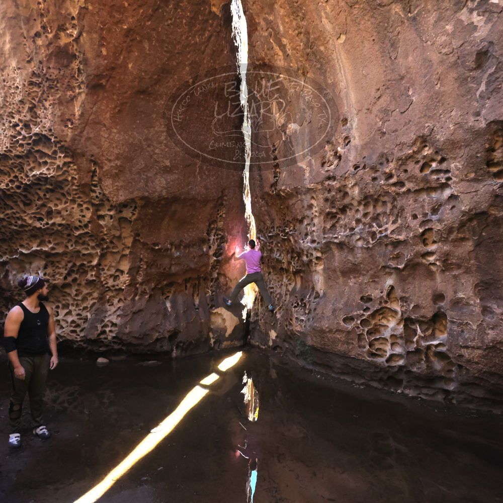 

Filename: SRM_20221025_1311150.jpg
Aperture: f/4.0
Shutter Speed: 1/2000
Body: Canon EOS R6
Lens: Canon EF 16-35mm f/2.8 L