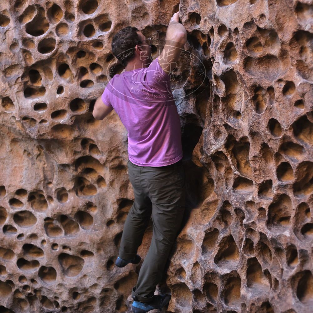 

Filename: SRM_20221025_1312280.jpg
Aperture: f/2.8
Shutter Speed: 1/250
Body: Canon EOS R6
Lens: Canon EF 50mm f/1.8 II