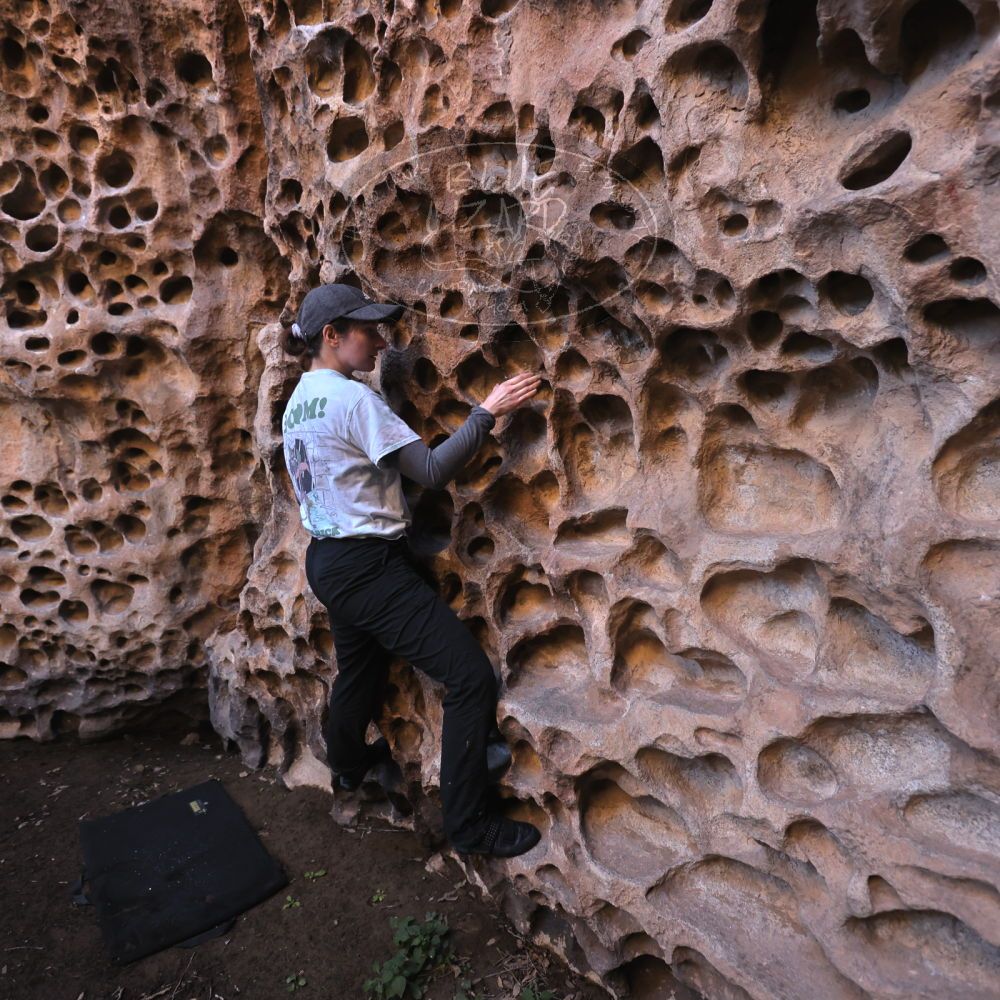 

Filename: SRM_20221025_1314210.jpg
Aperture: f/4.0
Shutter Speed: 1/200
Body: Canon EOS R6
Lens: Canon EF 16-35mm f/2.8 L