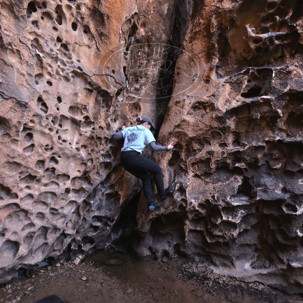 

Filename: SRM_20221025_1316560.jpg
Aperture: f/4.0
Shutter Speed: 1/200
Body: Canon EOS R6
Lens: Canon EF 16-35mm f/2.8 L