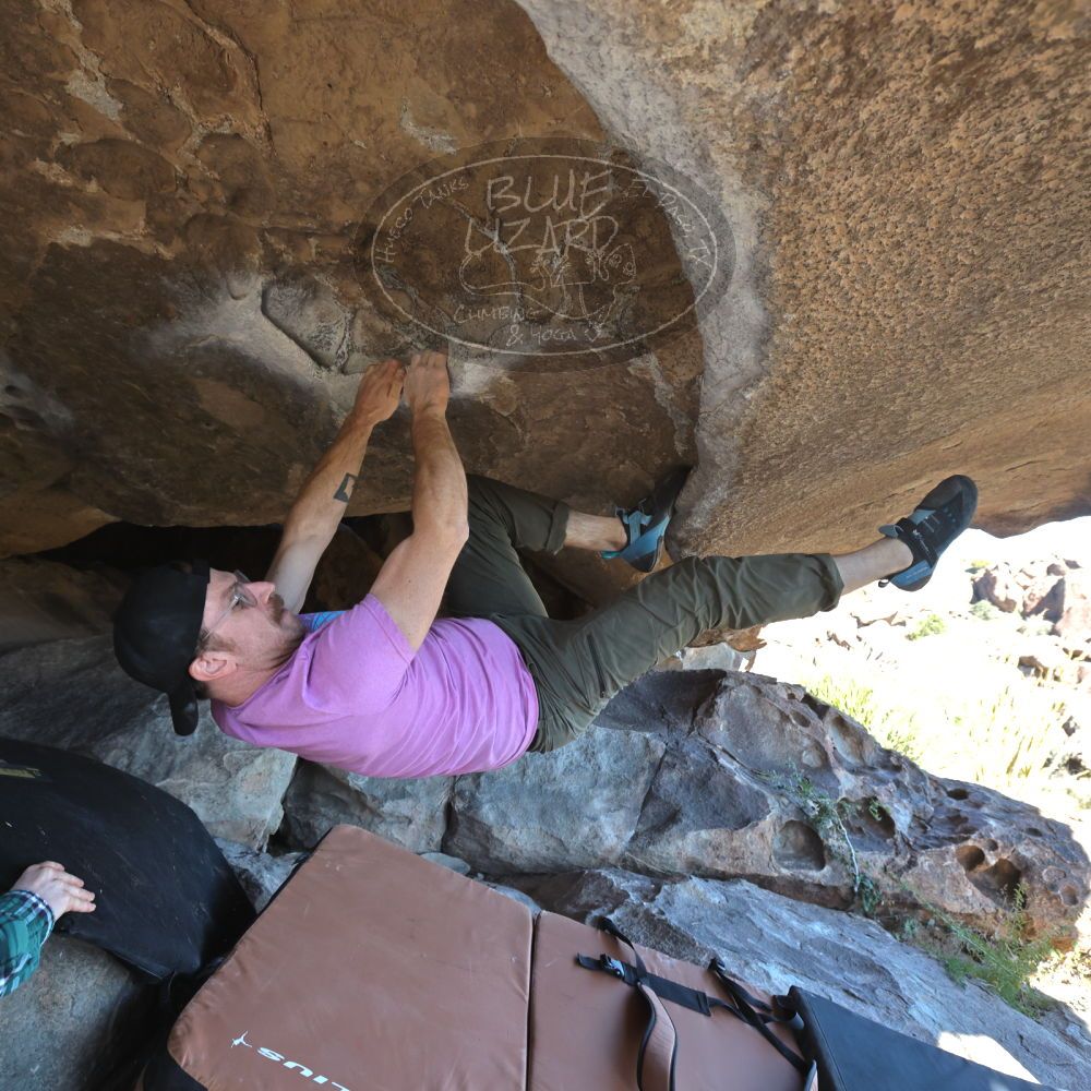 

Filename: SRM_20221025_1442490.jpg
Aperture: f/5.6
Shutter Speed: 1/400
Body: Canon EOS R6
Lens: Canon EF 16-35mm f/2.8 L