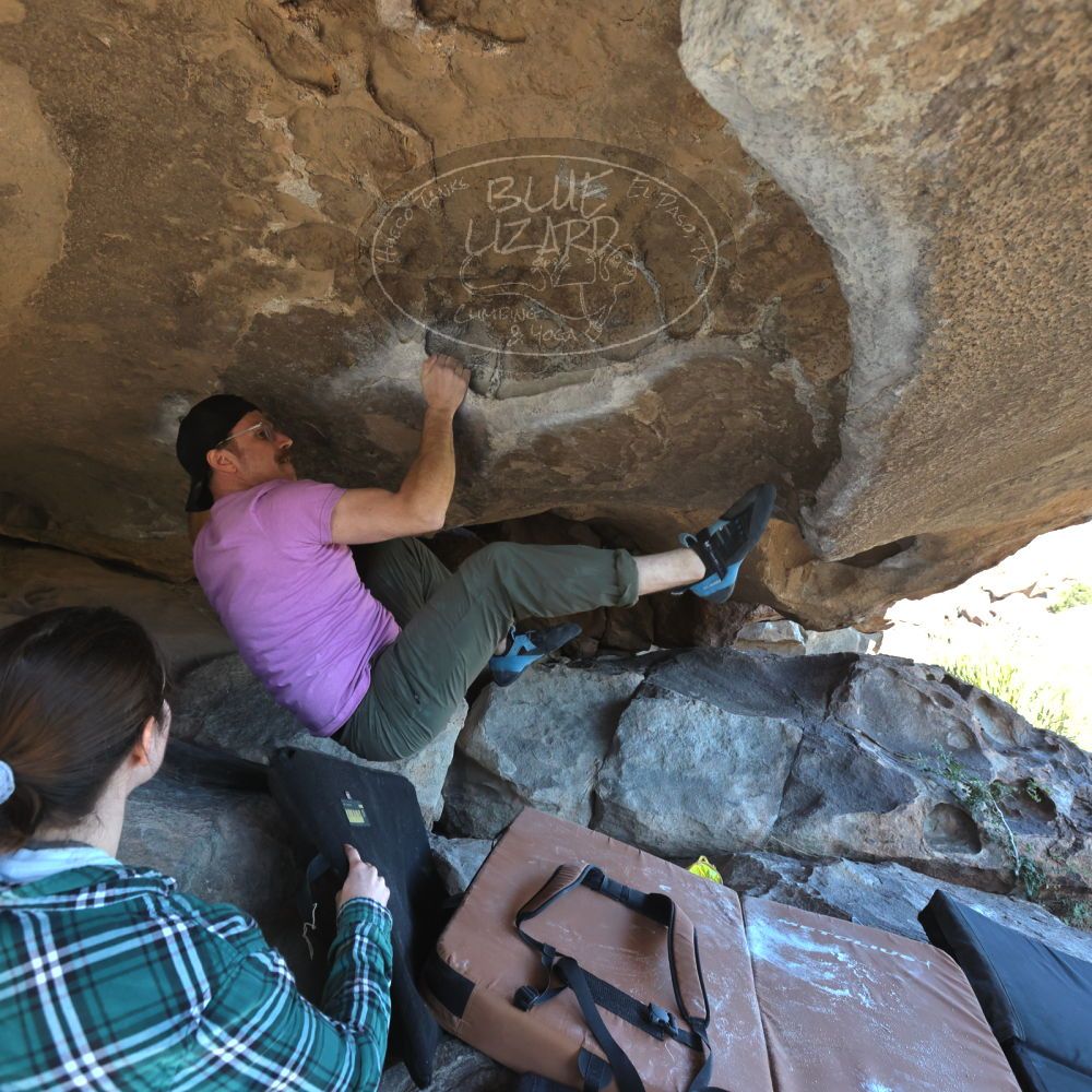 

Filename: SRM_20221025_1448440.jpg
Aperture: f/5.6
Shutter Speed: 1/400
Body: Canon EOS R6
Lens: Canon EF 16-35mm f/2.8 L