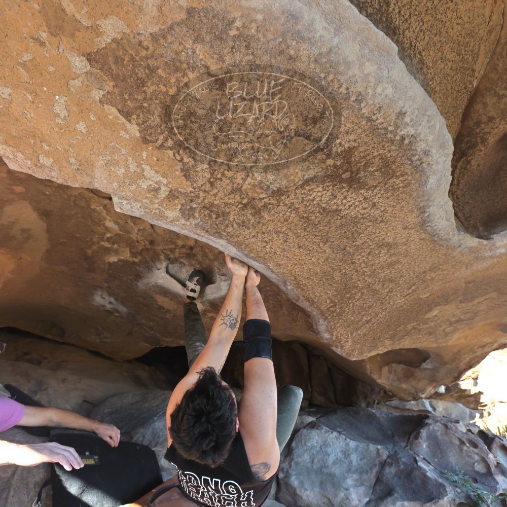 

Filename: SRM_20221025_1502080.jpg
Aperture: f/5.6
Shutter Speed: 1/400
Body: Canon EOS R6
Lens: Canon EF 16-35mm f/2.8 L