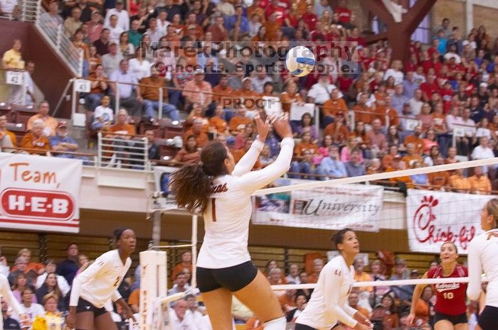 UT freshman Juliann Faucette (#1, OH) sets the ball as UT sophomore Destinee Hooker (#21, OH), UT senior Brandy Magee (#44, MB), and Nebraska junior Jordan Larson (#10, OH) watch.  The Longhorns defeated the Huskers 3-0 on Wednesday night, October 24, 2007

Filename: SRM_20071024_1900144.jpg
Aperture: f/4.0
Shutter Speed: 1/200
Body: Canon EOS-1D Mark II
Lens: Canon EF 80-200mm f/2.8 L
