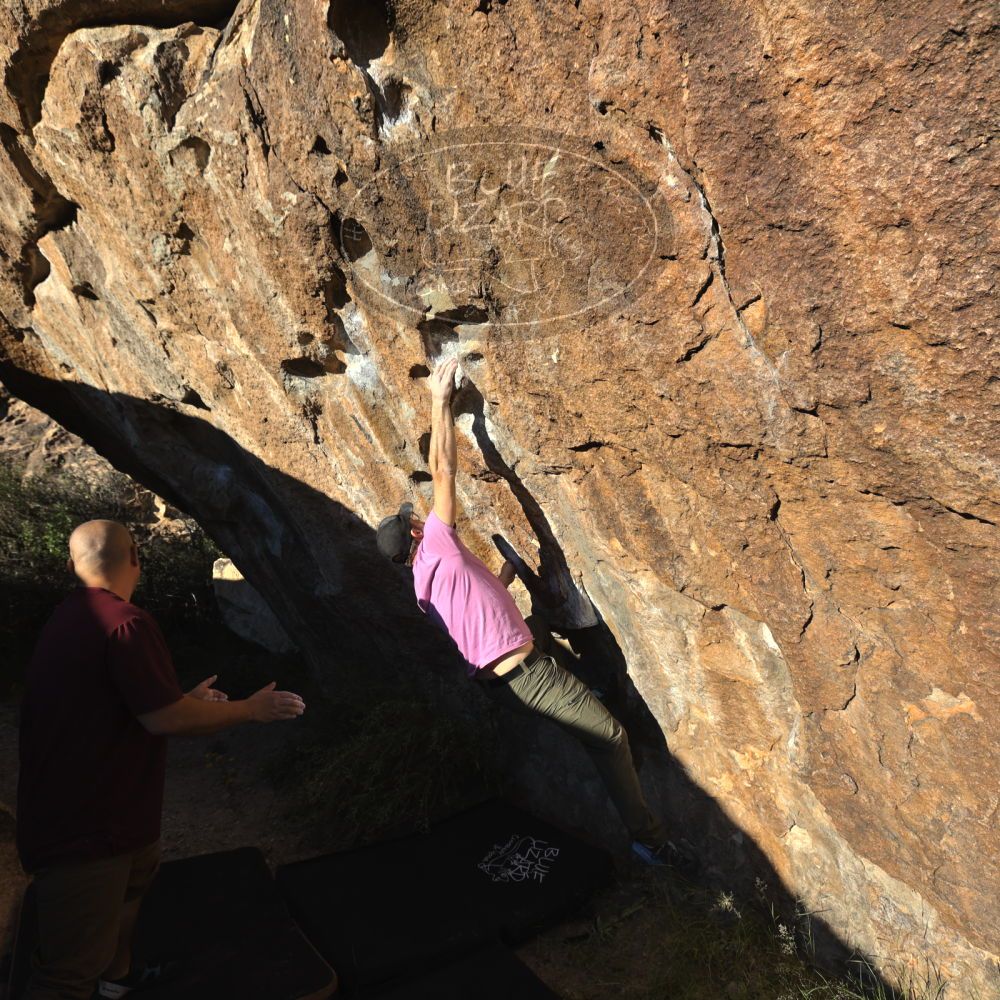 

Filename: SRM_20221025_1610060.jpg
Aperture: f/5.6
Shutter Speed: 1/1000
Body: Canon EOS R6
Lens: Canon EF 16-35mm f/2.8 L