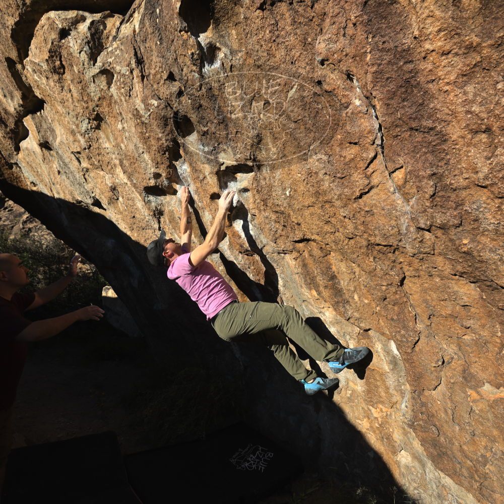 

Filename: SRM_20221025_1610160.jpg
Aperture: f/5.6
Shutter Speed: 1/1000
Body: Canon EOS R6
Lens: Canon EF 16-35mm f/2.8 L