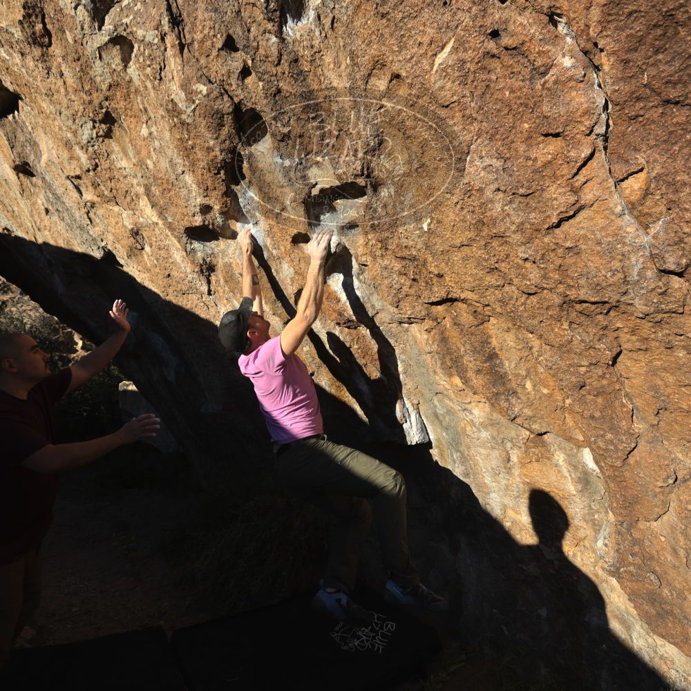 

Filename: SRM_20221025_1616290.jpg
Aperture: f/5.6
Shutter Speed: 1/1000
Body: Canon EOS R6
Lens: Canon EF 16-35mm f/2.8 L