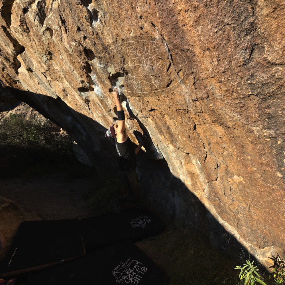 

Filename: SRM_20221025_1617540.jpg
Aperture: f/5.6
Shutter Speed: 1/1000
Body: Canon EOS R6
Lens: Canon EF 16-35mm f/2.8 L