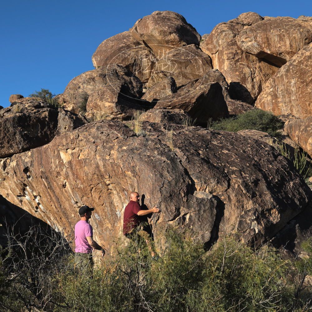 

Filename: SRM_20221025_1621400.jpg
Aperture: f/5.6
Shutter Speed: 1/1000
Body: Canon EOS R6
Lens: Canon EF 16-35mm f/2.8 L