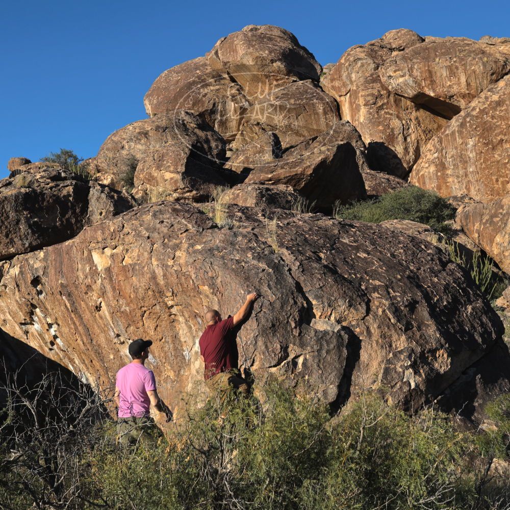 

Filename: SRM_20221025_1621430.jpg
Aperture: f/5.6
Shutter Speed: 1/1000
Body: Canon EOS R6
Lens: Canon EF 16-35mm f/2.8 L