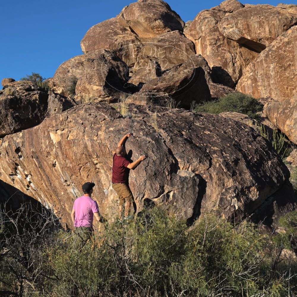 

Filename: SRM_20221025_1621470.jpg
Aperture: f/5.6
Shutter Speed: 1/1000
Body: Canon EOS R6
Lens: Canon EF 16-35mm f/2.8 L