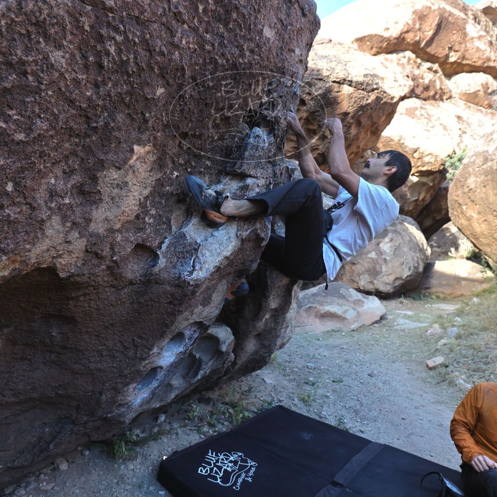 

Filename: SRM_20221112_0912080.jpg
Aperture: f/4.5
Shutter Speed: 1/500
Body: Canon EOS R6
Lens: Canon EF 16-35mm f/2.8 L