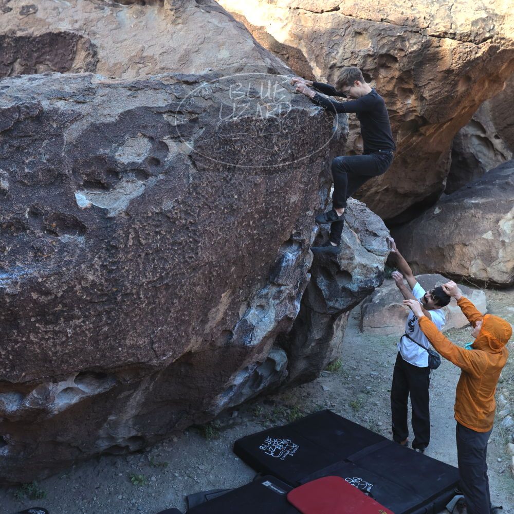 

Filename: SRM_20221112_0915060.jpg
Aperture: f/4.5
Shutter Speed: 1/500
Body: Canon EOS R6
Lens: Canon EF 16-35mm f/2.8 L