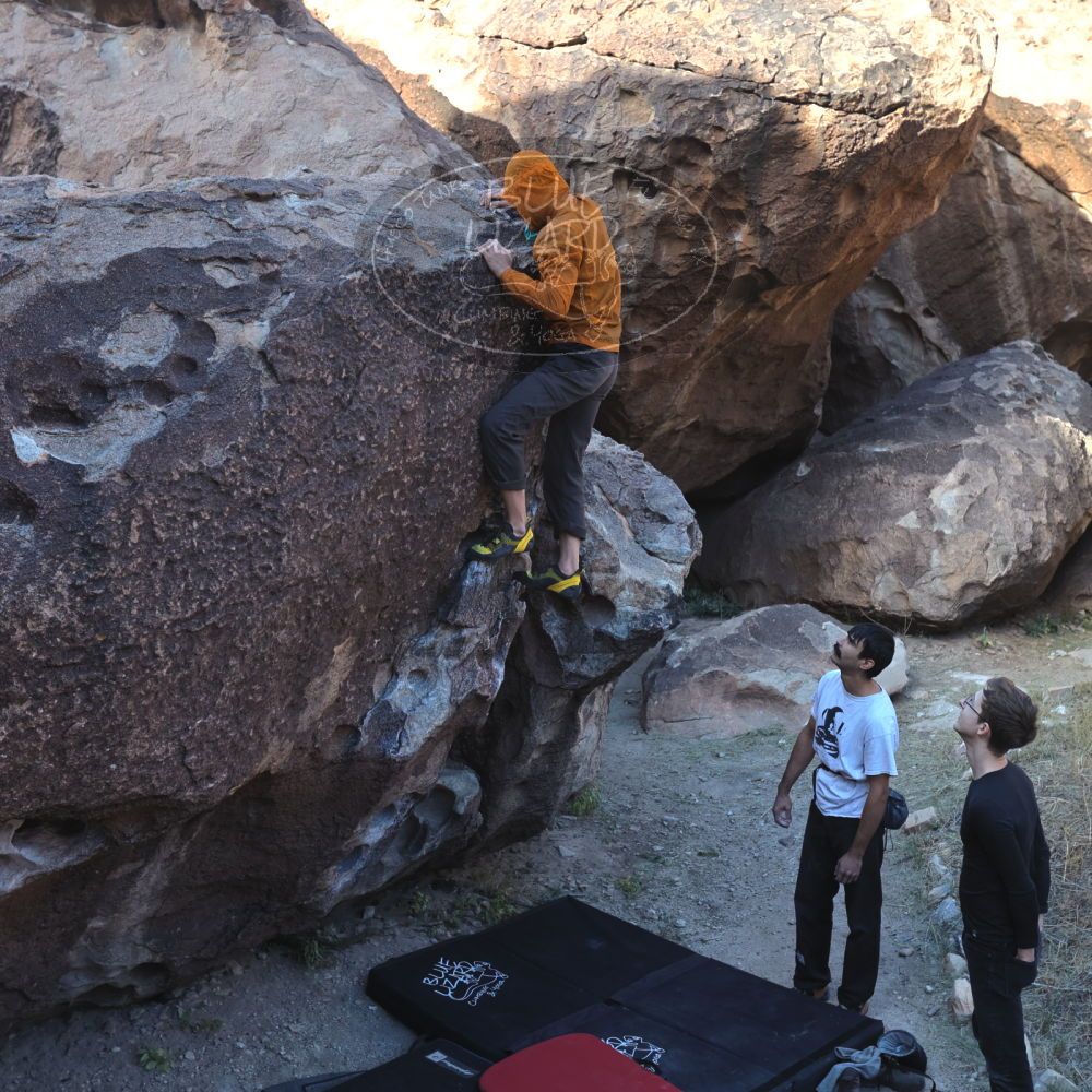 

Filename: SRM_20221112_0916500.jpg
Aperture: f/4.5
Shutter Speed: 1/500
Body: Canon EOS R6
Lens: Canon EF 16-35mm f/2.8 L