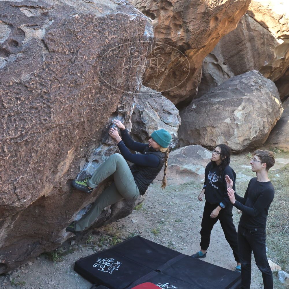 Filename: SRM_20221112_0921020.jpg
Aperture: f/5.6
Shutter Speed: 1/1000
Body: Canon EOS R6
Lens: Canon EF 16-35mm f/2.8 L