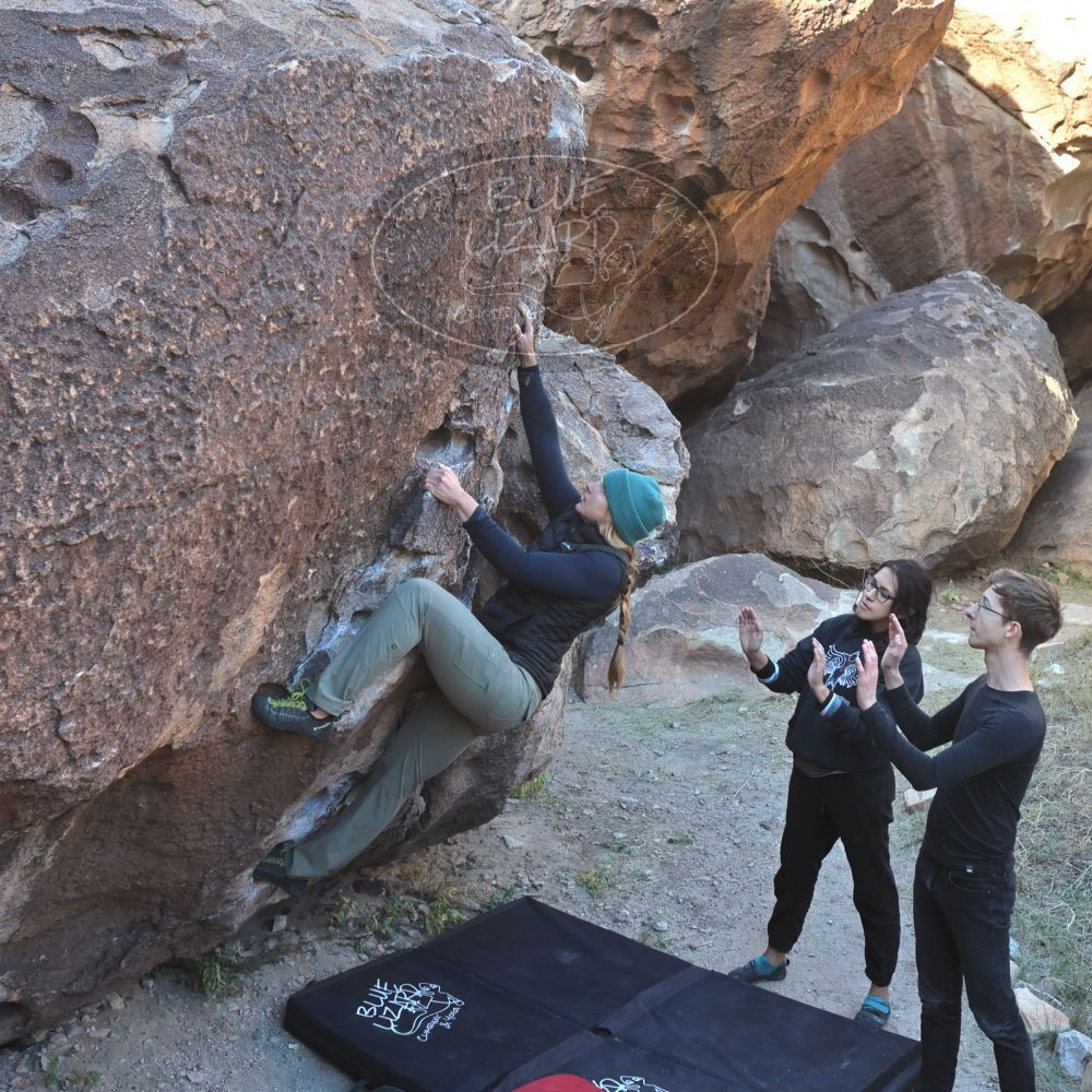 Filename: SRM_20221112_0921050.jpg
Aperture: f/5.6
Shutter Speed: 1/500
Body: Canon EOS R6
Lens: Canon EF 16-35mm f/2.8 L