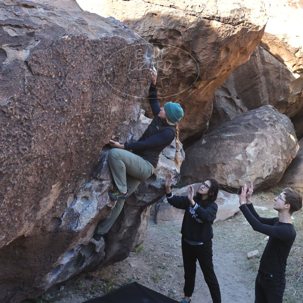 Filename: SRM_20221112_0921240.jpg
Aperture: f/5.6
Shutter Speed: 1/500
Body: Canon EOS R6
Lens: Canon EF 16-35mm f/2.8 L