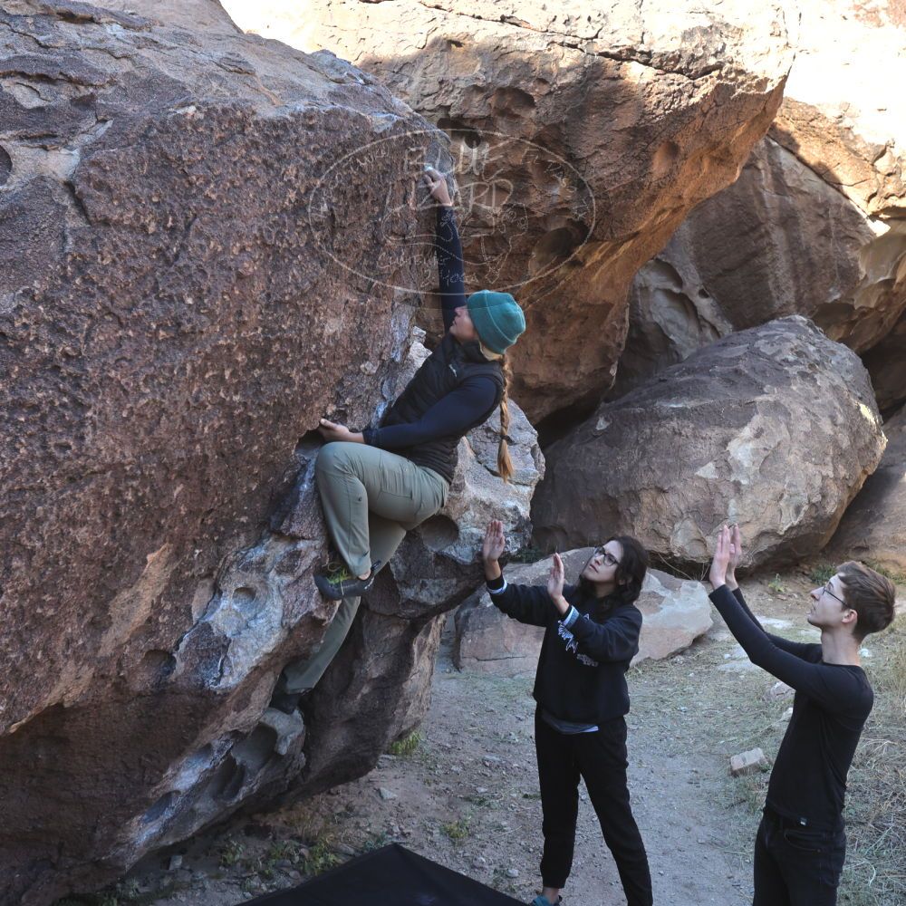 Filename: SRM_20221112_0921241.jpg
Aperture: f/5.6
Shutter Speed: 1/500
Body: Canon EOS R6
Lens: Canon EF 16-35mm f/2.8 L