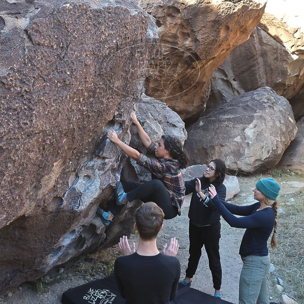 Filename: SRM_20221112_0923220.jpg
Aperture: f/5.6
Shutter Speed: 1/500
Body: Canon EOS R6
Lens: Canon EF 16-35mm f/2.8 L