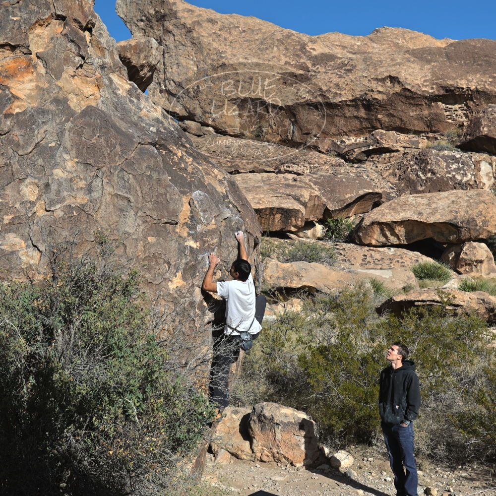 Filename: SRM_20221112_0923500.jpg
Aperture: f/5.6
Shutter Speed: 1/1000
Body: Canon EOS R6
Lens: Canon EF 16-35mm f/2.8 L